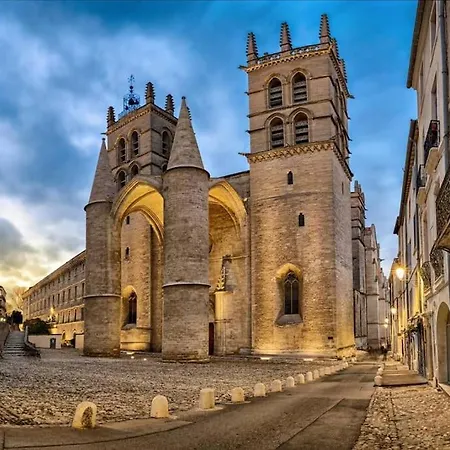 Au Coeur Historique De Montpellier, 2 Personnes Et Wifi * Montpellier